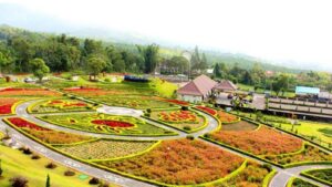 FORMAT-IMAGES-1600X900 Blom garden