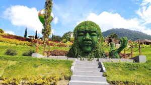 FORMAT-IMAGES-1600X900 Blom garden1