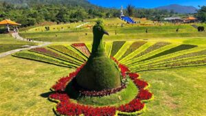 FORMAT-IMAGES-1600X900 Blom garden3