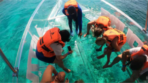 Glass bottom boat 1-1600X900