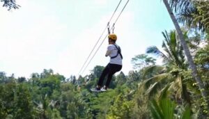 driverbalitour-flyingfox-1