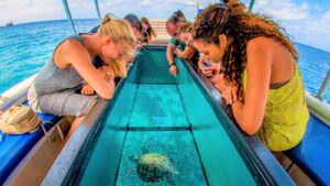 glass-bottom-boat1-1600X900