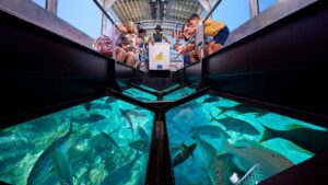 glass-bottom-boat3-1600X900